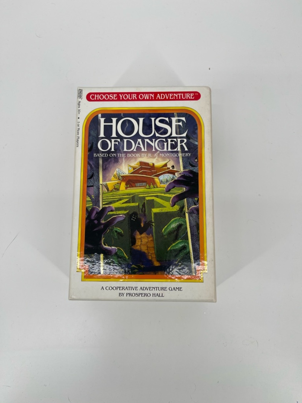 ⭐️Cool Choose Your Own Adventure - House of Danger Cooperative Game